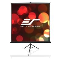 Elite-Screens-T113UWS1.jpg