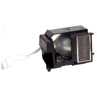 InFocus-SPLAMP009.jpg