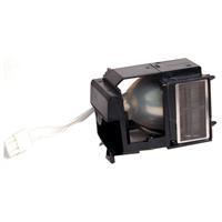 InFocus-SPLAMP018.jpg