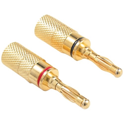 OEM-Systems-IW4PLUG.jpg